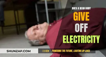 Dead Bodies and Electricity: An Unexpected Connection
