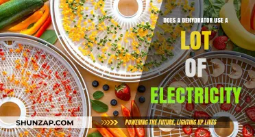 Dehydrator Energy Efficiency: How Much Electricity Does It Really Use?