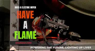 Electric Dryers and Flames: What's the Truth?