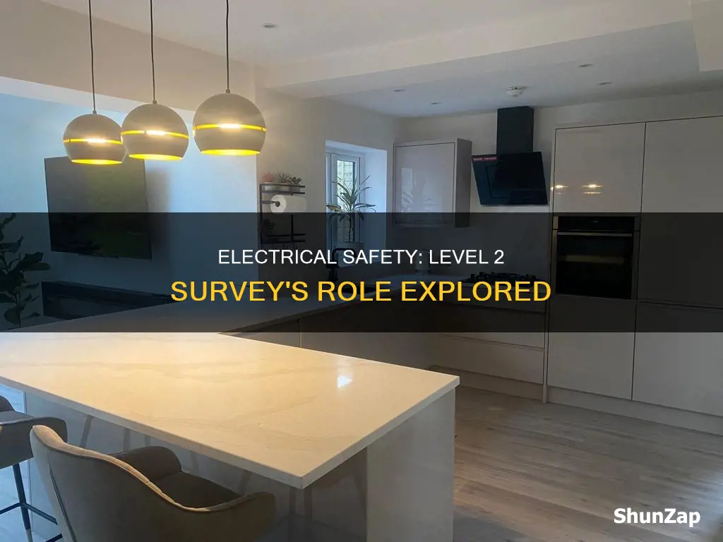 does a level 2 survey check electrics