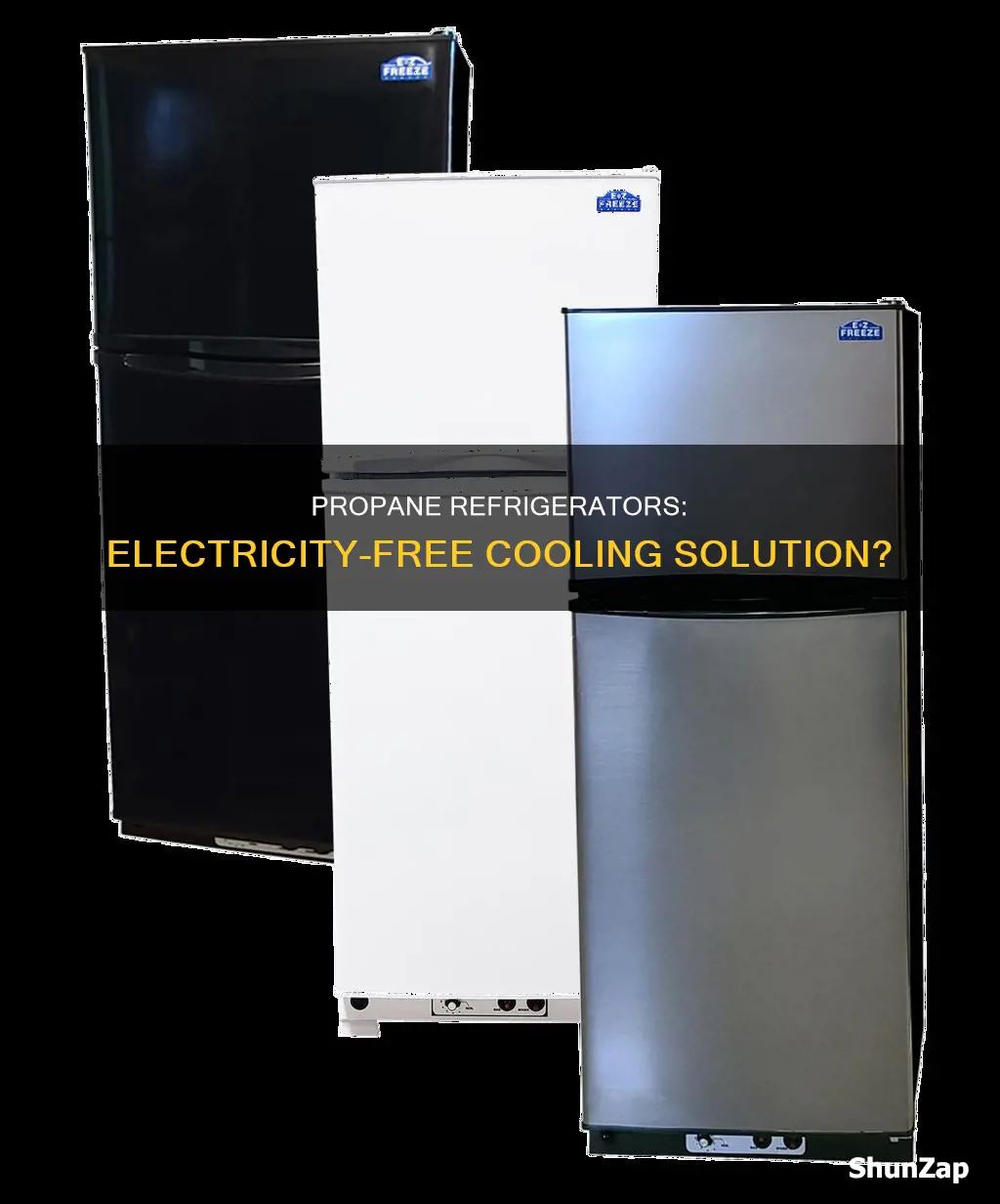does a propane refrigerator run without electricity