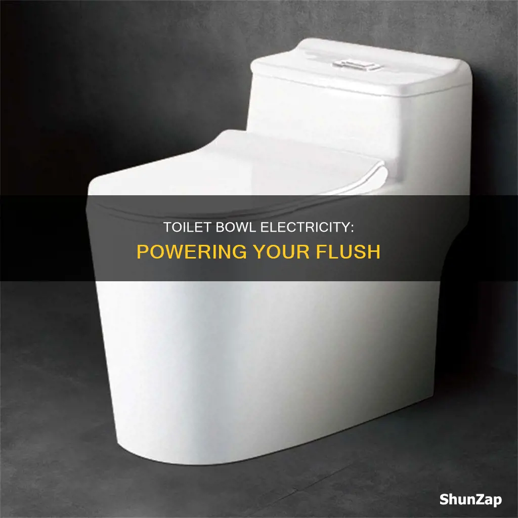 does a toilet bowl run on electricity