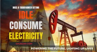 Idle Transformers: Power Consumption Mystery Unveiled