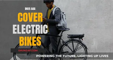 Electric Bike Emergencies: AAA to the Rescue?