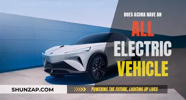 Acura's Electric Vehicle Plans: All-Electric or Hybrid?