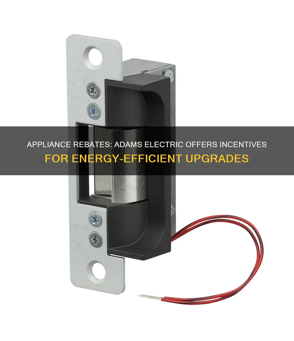 does adams electric offer rebates for appliances