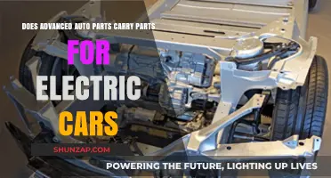 Advanced Auto Parts: Electric Car Components Availability Explored