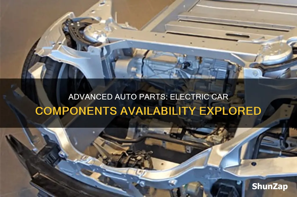 does advanced auto parts carry parts for electric cars