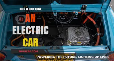 Al Gore's Eco-Friendly Ride: Does He Drive an Electric Car?