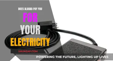 Alaska's Unique Electricity: Get Paid for Your Power