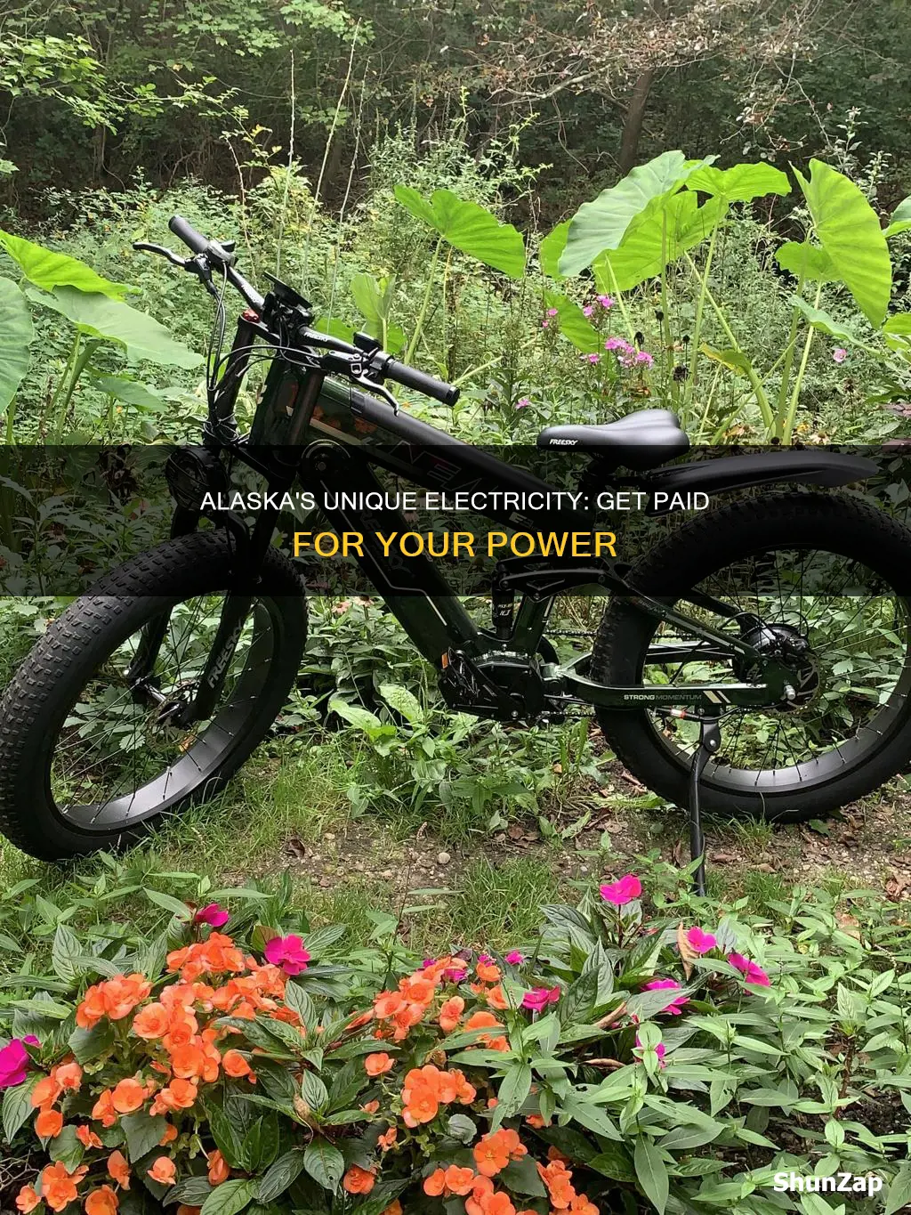 does alaska pay you for your electricity