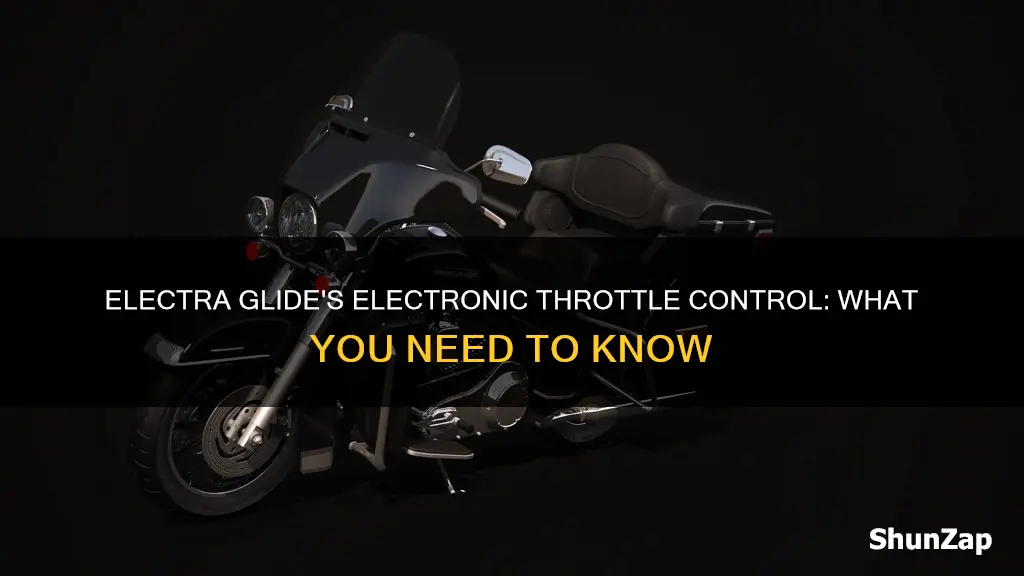 does an 04 electra glide have eitms