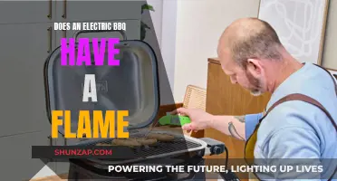 Electric BBQs and Flames: What's the Deal?