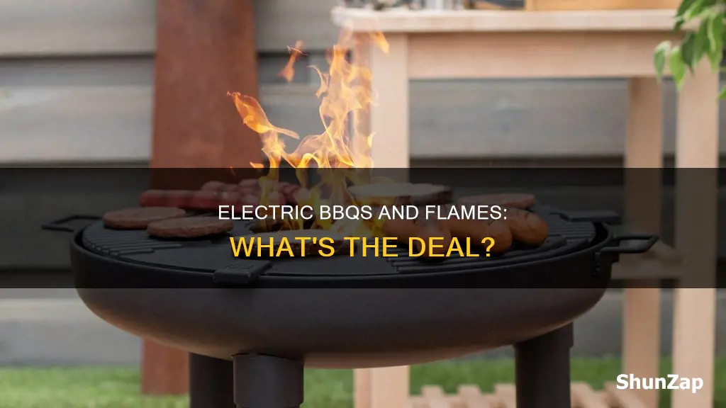 does an electric bbq have a flame