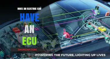 Do Electric Cars Have an ECU? Unraveling the Mystery