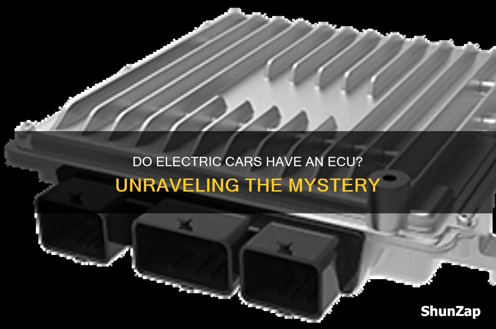 does an electric car have an ecu