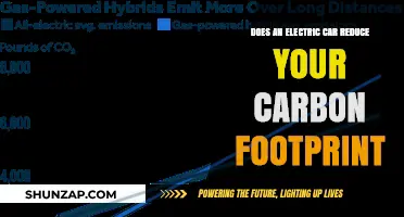 Electric Cars: Lowering Carbon Footprints or Just a Green Myth?
