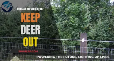Electric Fences: Effective Deer Deterrent or Waste of Energy?