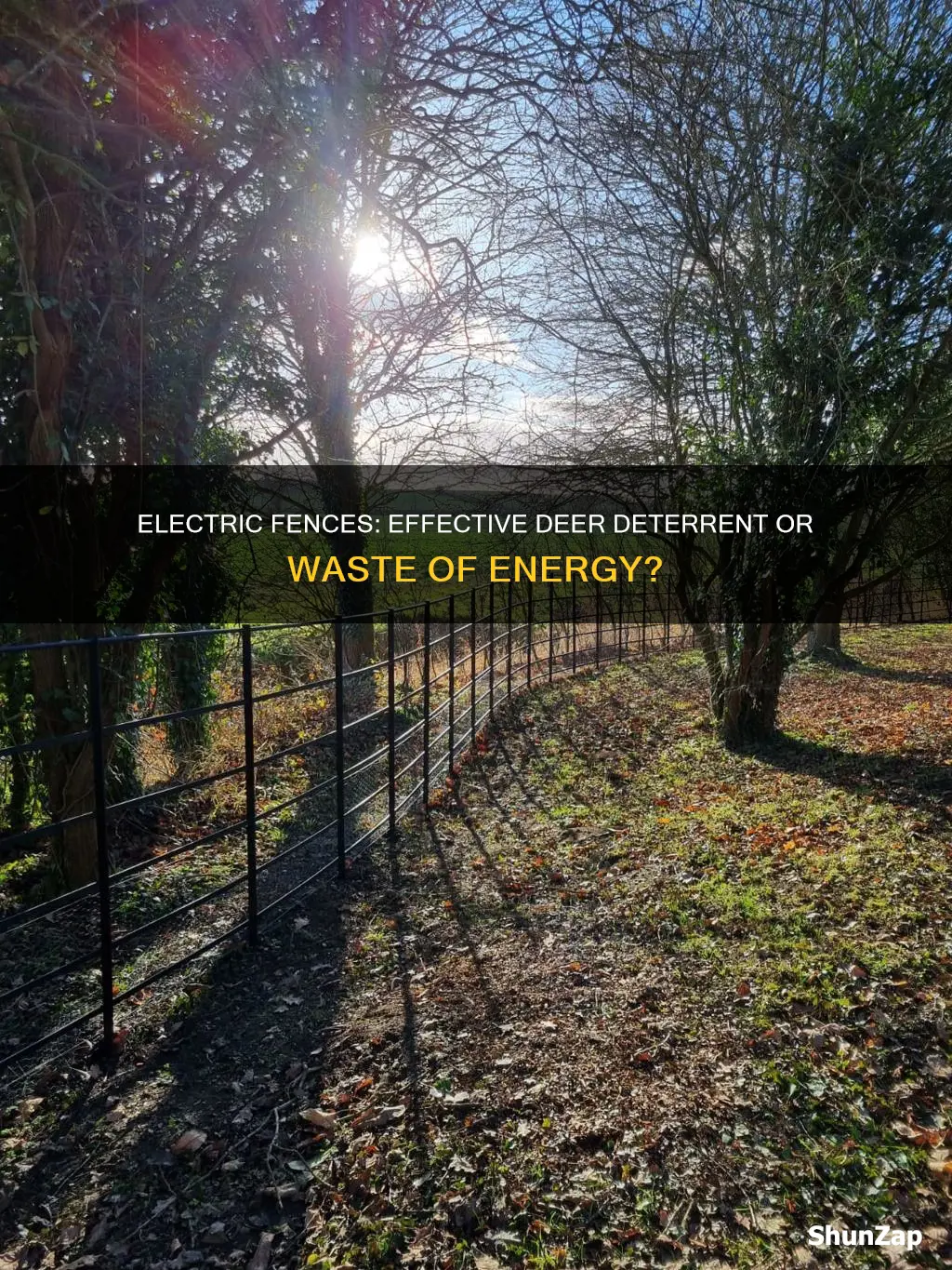 does an electric fence keep deer out