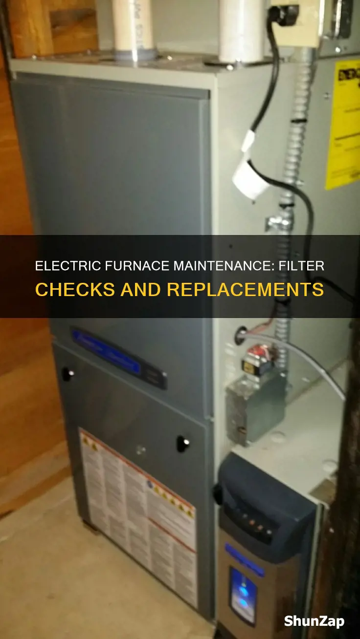 does an electric furnace have a filter