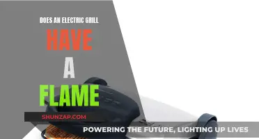 Electric Grills and Flames: What's the Deal?