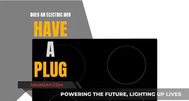 Electric Hob Plugs: What You Need to Know