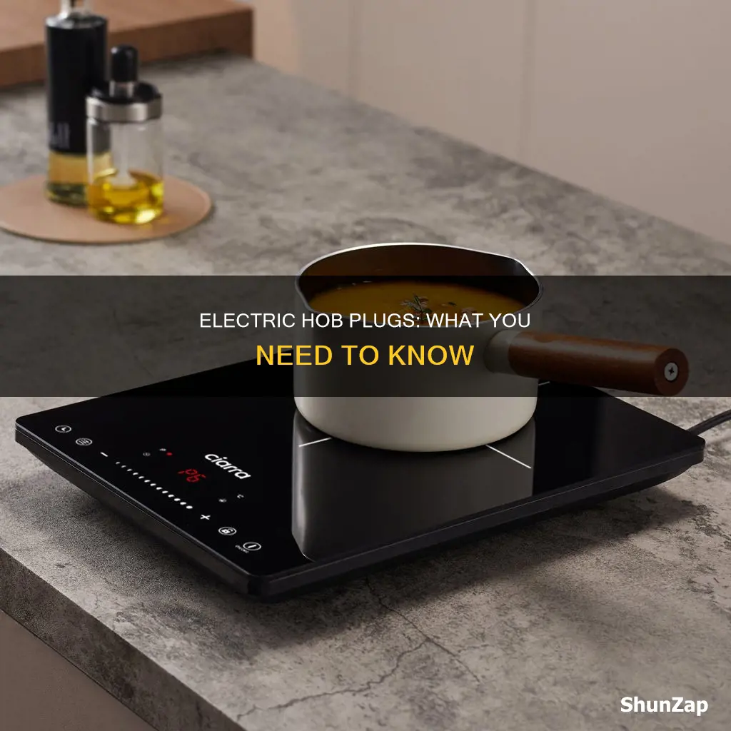 does an electric hob have a plug