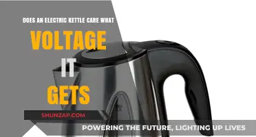 Electric Kettle Voltage Compatibility: Does It Really Matter?