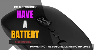 Electric Mouse Mechanics: Battery Power Source?
