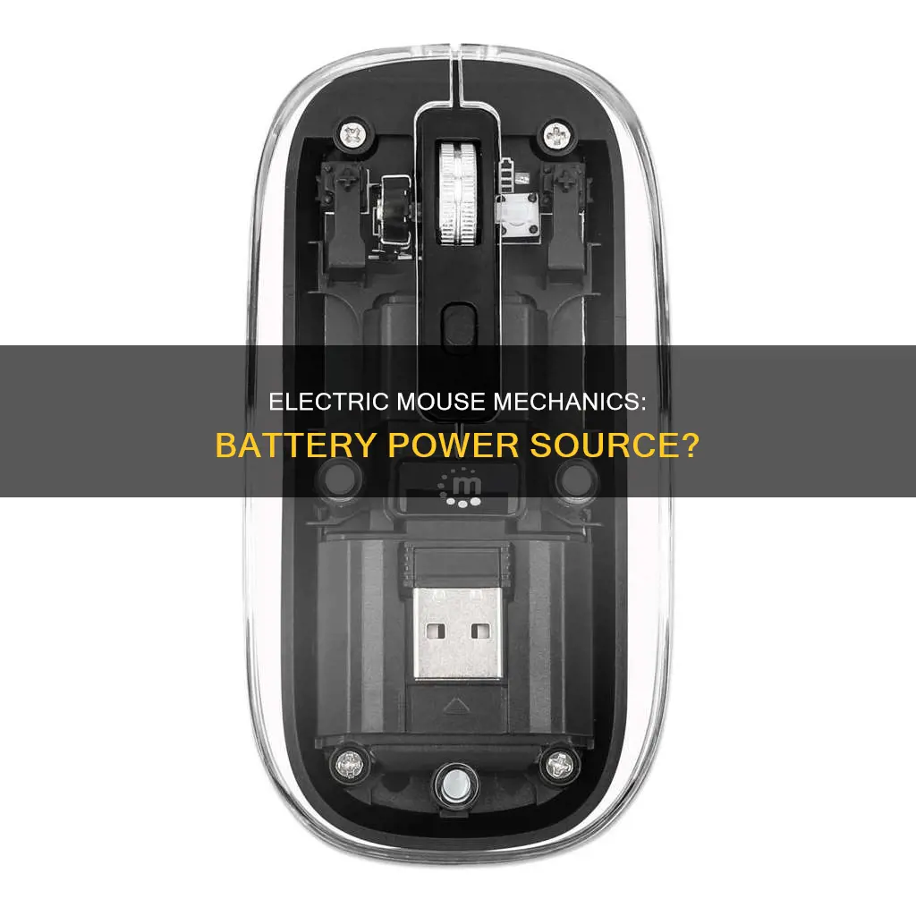 does an electric mouse have a battery