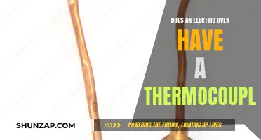 Electric Oven Maintenance: Understanding Thermocouple Functionality