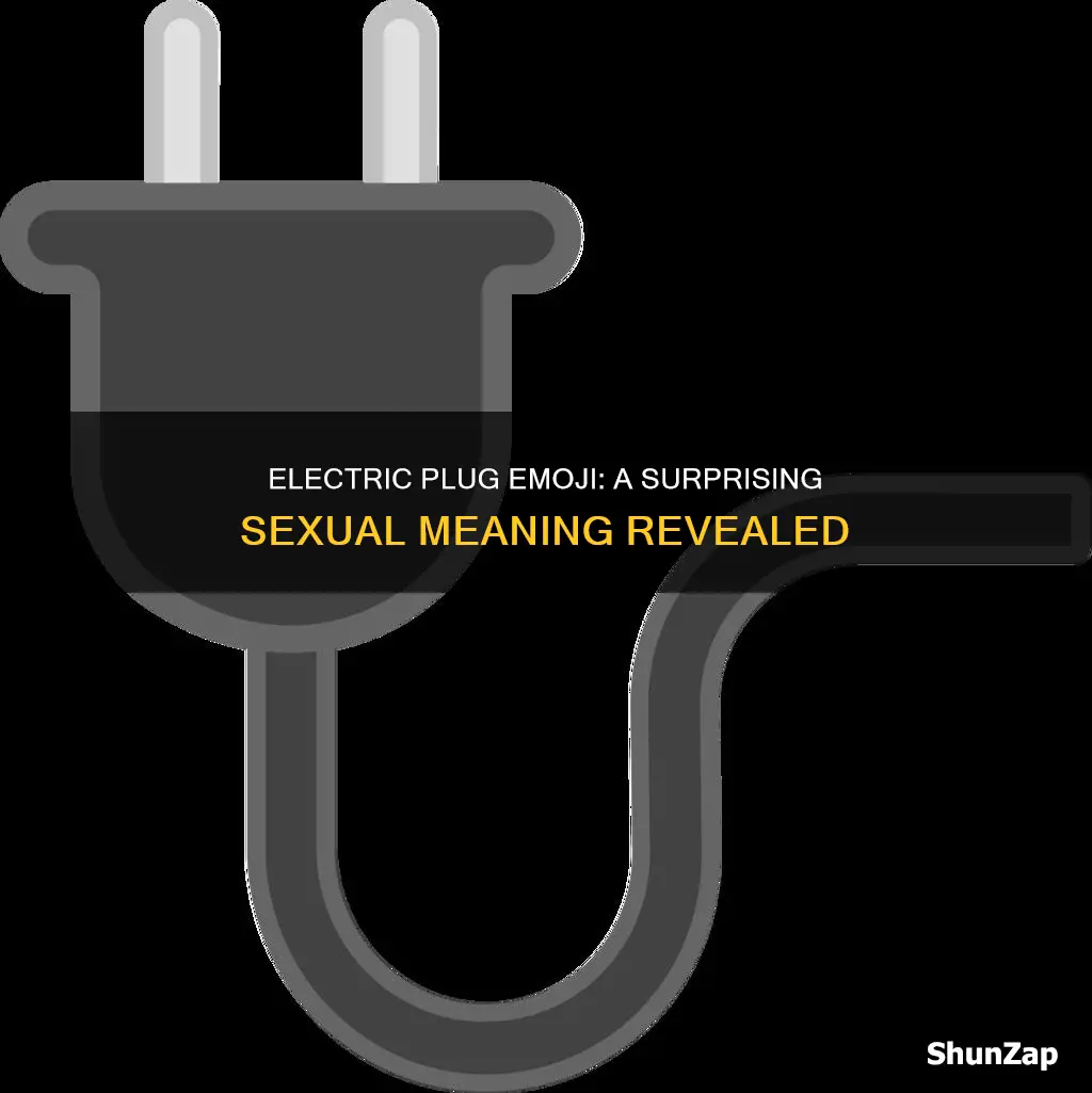 does an electric plug emoji have a sexual meaning