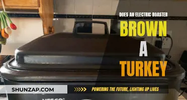 Electric Roaster for Turkey Browning: Does It Work?