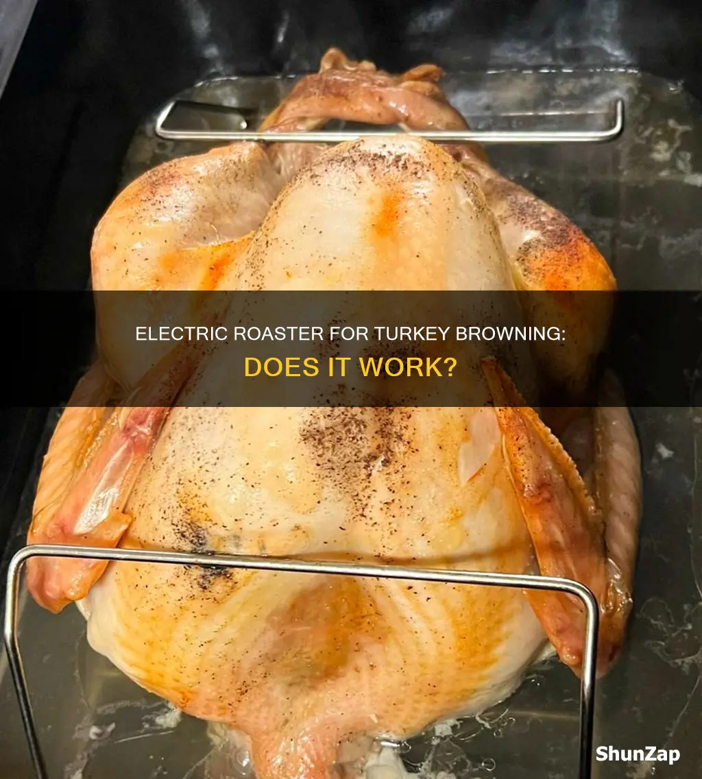 does an electric roaster brown a turkey