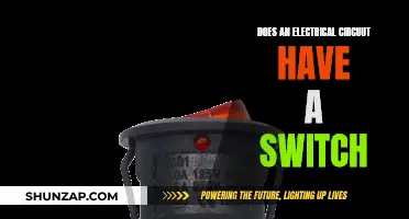 Electrical Circuits: Do Switches Make a Difference?