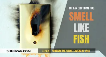 Electrical Fire: Why Does It Smell Like Fish?
