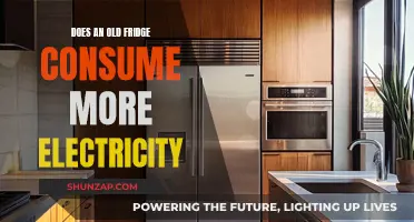 Old Fridges: Energy Vampires or Just Ancient Appliances?