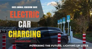 Animal Kingdom's Electric Car Charging Stations: Availability and Accessibility