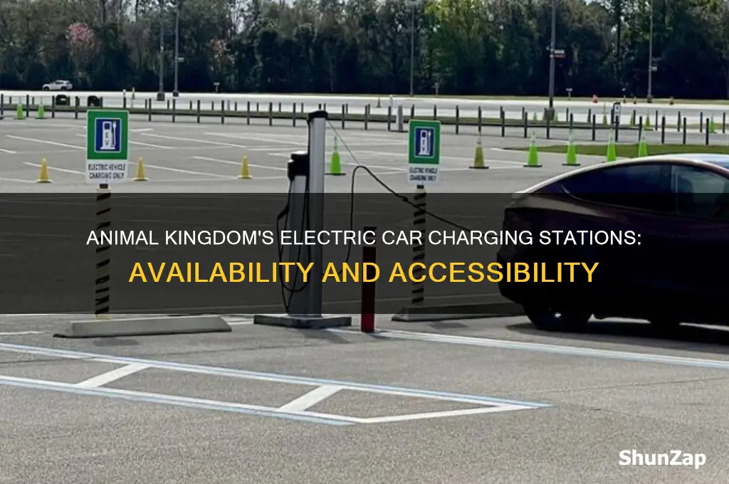 does animal kingdom have electric car charging