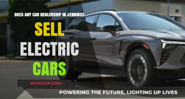 Electric Cars in Jennings: Which Dealerships Offer Eco-Friendly Options?