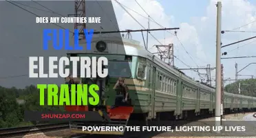 Electric Trains: Which Countries Have Fully Embraced This Technology?