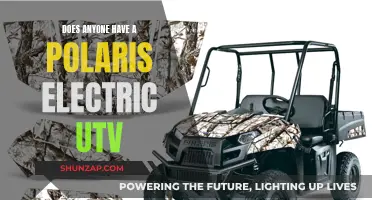 Polaris Electric UTVs: Who's Driving Change?