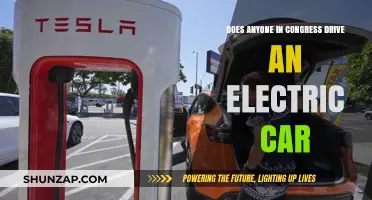 Electric Cars in Congress: Who’s Driving the Green Revolution?