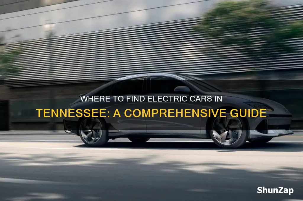 does anyone in tn stock a electric car