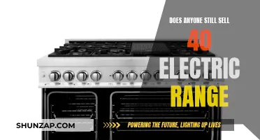 Electric Range Options: Are 40-Inch Models Still Available?