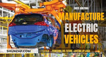 Arizona's Electric Vehicle Manufacturing Ambitions: Exploring the Possibilities