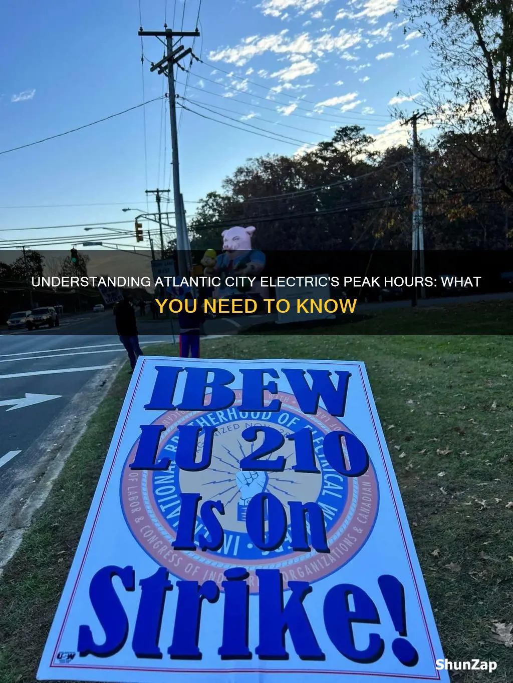 does atlantic city electric have peak hours