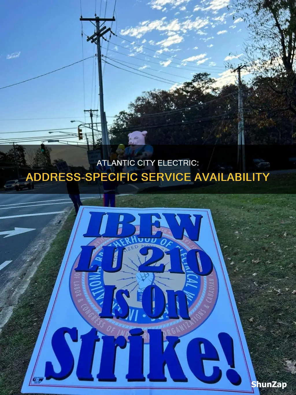 does atlantic city electric service my address