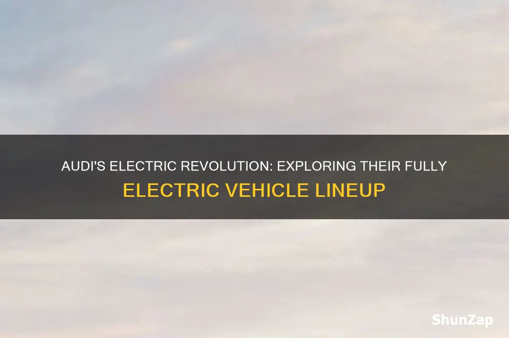 does audi have a fully electric car