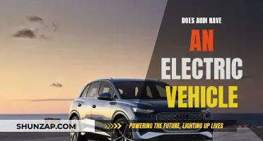 Audi's Electric Vehicle Plans: What's the Future Hold?
